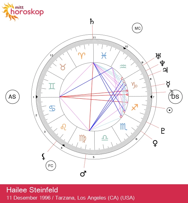 Hailee Steinfelds Skyttenånd: En himmelsk reise!