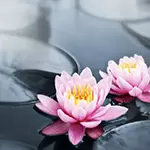 Slange: arbeidslivet i november 2025