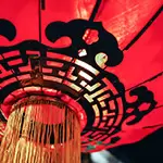 Slange: velværet i november 2025