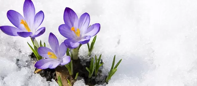 Horoskop for  Onsdag 7. Januar 2026