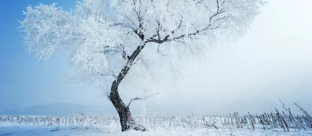 Horoskop for  Fredag 9. Januar 2026