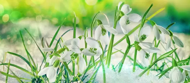 Horoskop for Mandag 12. Januar 2026