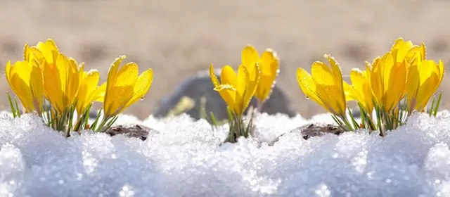 Horoskop for Søndag 25. Januar 2026