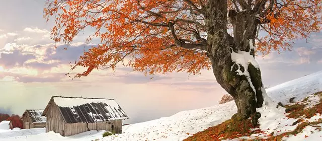 Horoskop for Lørdag 31. Januar 2026