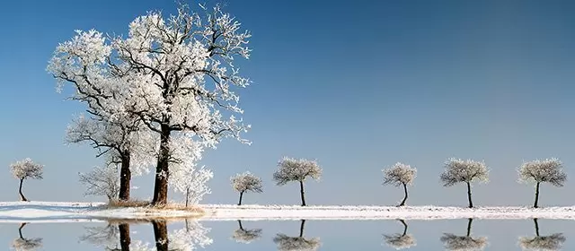 Horoskop for Steinbukken januar 2026