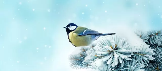 Horoskop for Mandag 2. Februar 2026