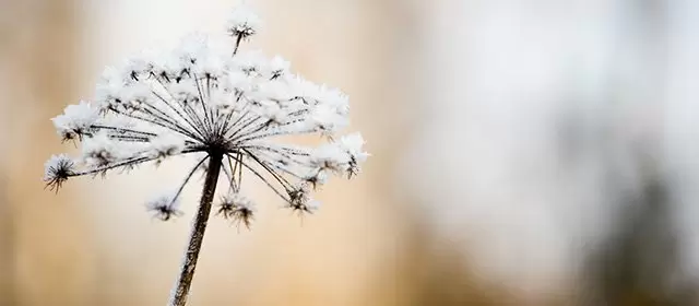 Horoskop for Tirsdag 3. Februar 2026