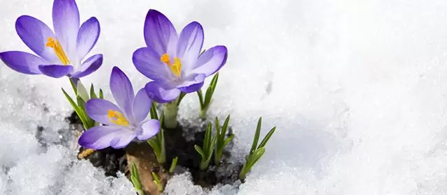 Horoskop for  Torsdag 5. Februar 2026