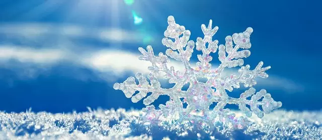 Horoskop for  Lørdag 7. Februar 2026