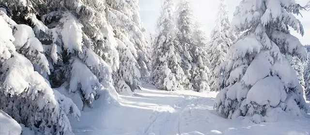 Horoskop for Onsdag 11. Februar 2026