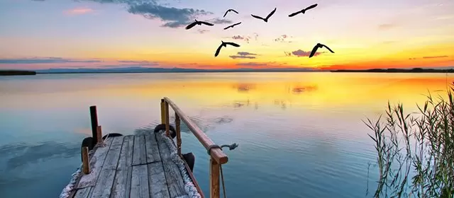 Horoskop for Steinbukken februar 2026