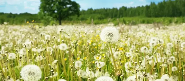 Horoskop for  Tirsdag 3. Mars 2026