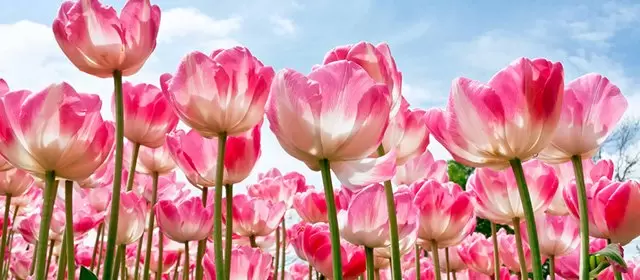 Horoskop for  Lørdag 7. Mars 2026