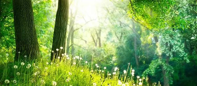 Horoskop for  Fredag 13. Mars 2026