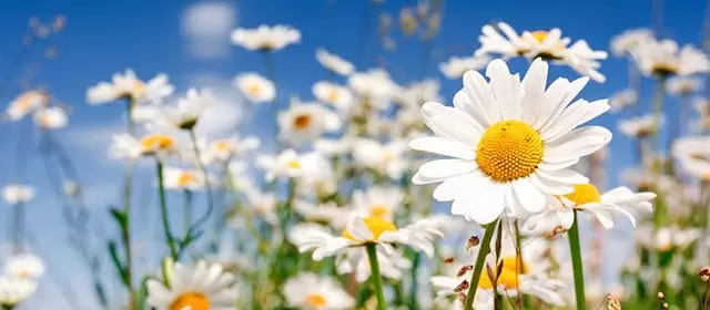 Horoskop for  Søndag 15. Mars 2026