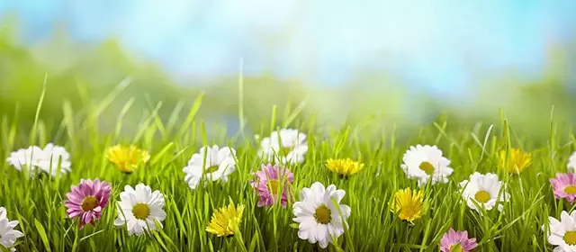 Horoskop for Fredag 28 Mars 2025