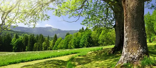 Horoskop for Steinbukken mars 2026