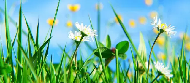 Horoskop for Fredag 3. April 2026