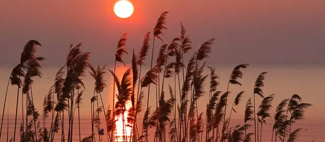 Horoskop for Søndag 5. April 2026