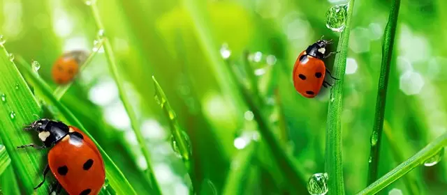 Horoskop for Søndag 12. April 2026