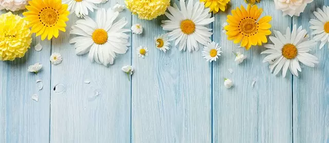 Horoskop for Lørdag 19 April 2025