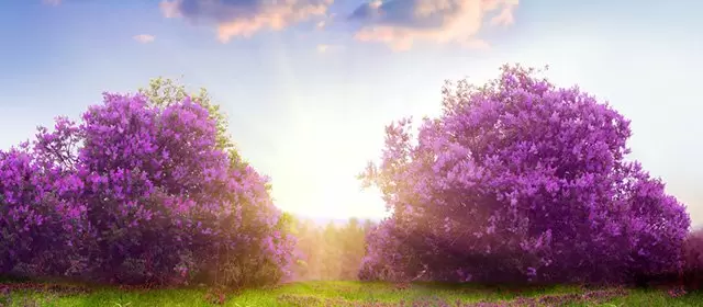Horoskop for Mandag 28 April 2025