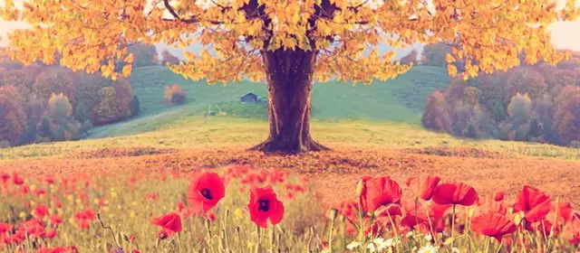 Horoskop for Onsdag 21 Mai 2025