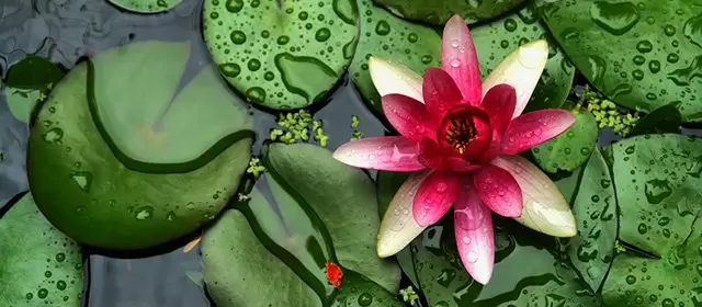 Horoskop for Tirsdag 3 Juni 2025