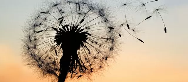 Horoskop for Onsdag 13 August 2025