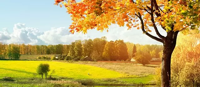 Horoskop for Fredag 3 Oktober 2025
