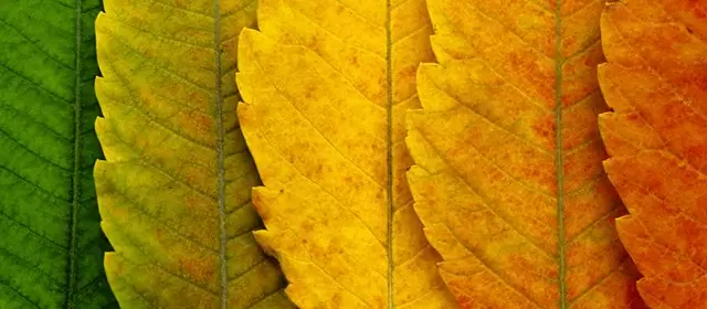 Horoskop for Lørdag 4 Oktober 2025