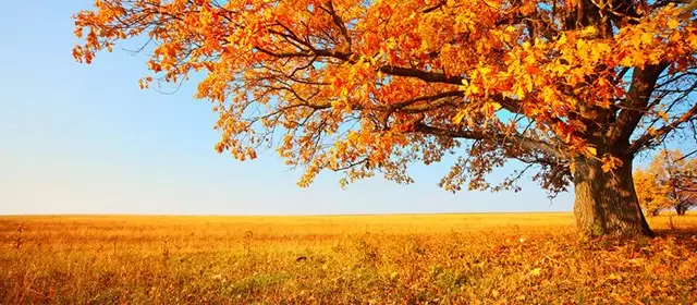 Horoskop for Torsdag 9 Oktober 2025
