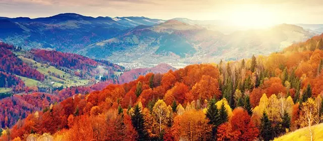Horoskop for Torsdag 16 Oktober 2025