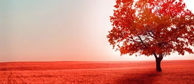 Horoskop for Fredag 17 Oktober 2025