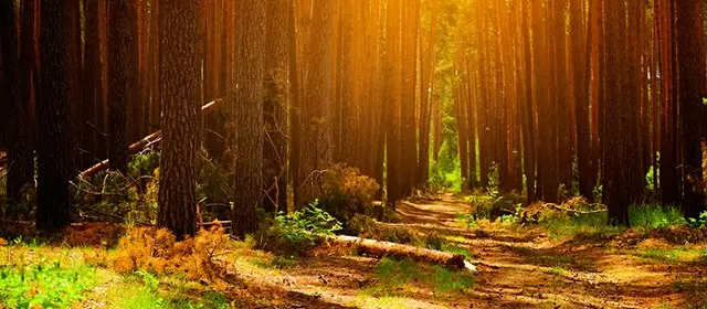 Horoskop for Mandag 20 Oktober 2025