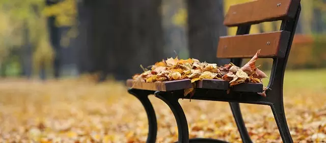 Horoskop for Torsdag 23 Oktober 2025