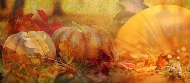 Horoskop for Fredag 31 Oktober 2025