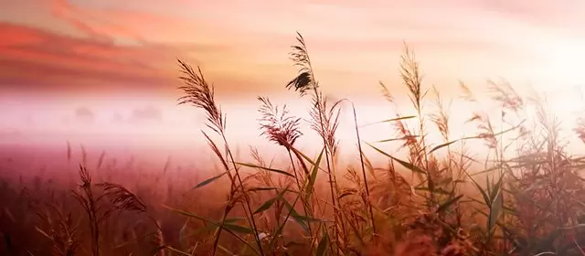 Horoskop for Tirsdag 4 November 2025