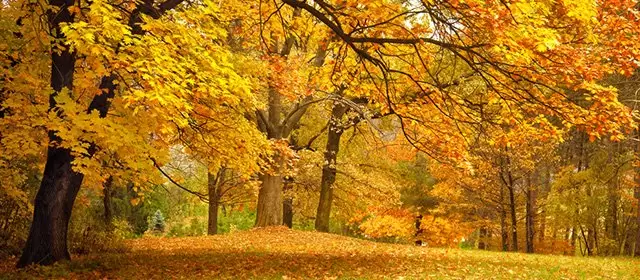 Horoskop for Mandag 10 November 2025