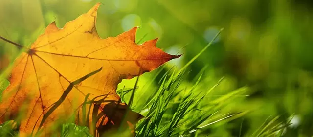 Horoskop for Tirsdag 11 November 2025