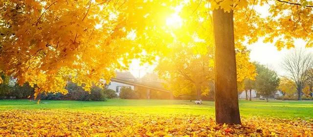 Horoskop for Onsdag 12 November 2025