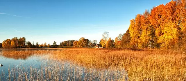 Horoskop for Torsdag 13 November 2025