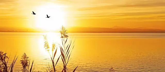 Horoskop for Fredag 14 November 2025