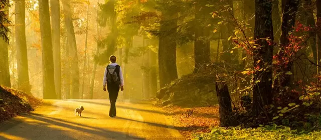 Horoskop for Mandag 17 November 2025