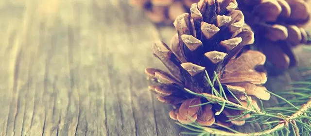 Horoskop for Søndag 7. Desember 2025