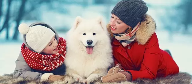 Horoskop for  Søndag 14. Desember 2025