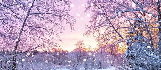 Horoskop for  Mandag 22. Desember 2025