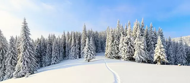 Horoskop for Tirsdag 30. Desember 2025